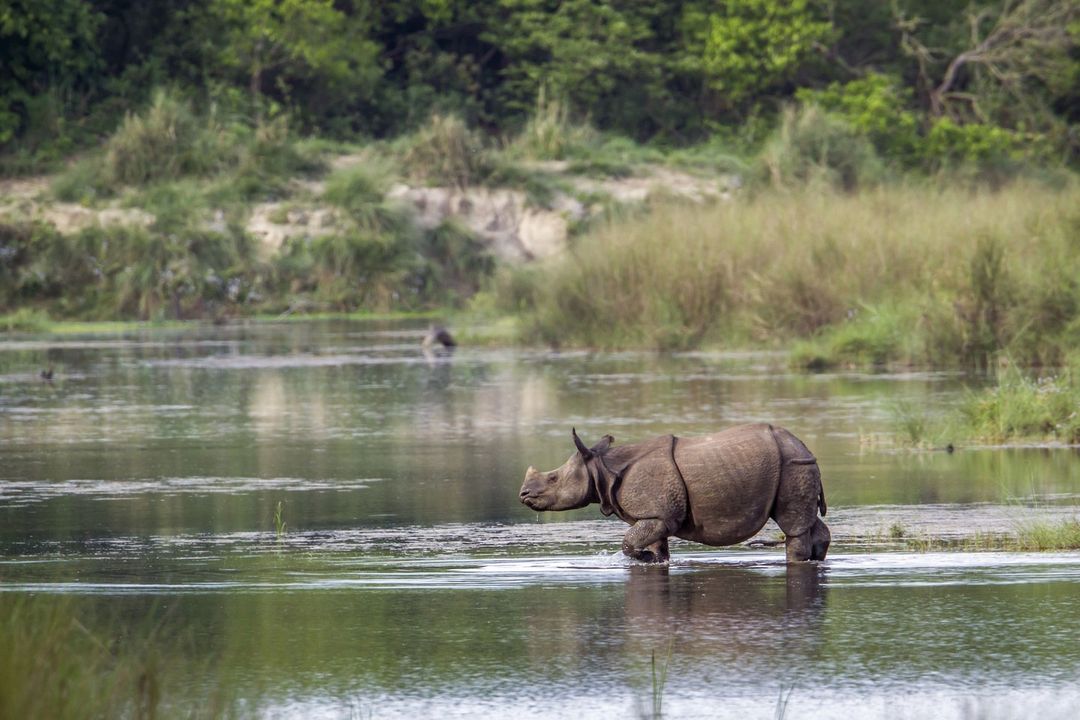 Ultimate Guide to Tanzania Safari Tours: Top Destinations and Tips for an Unforgettable Adventure